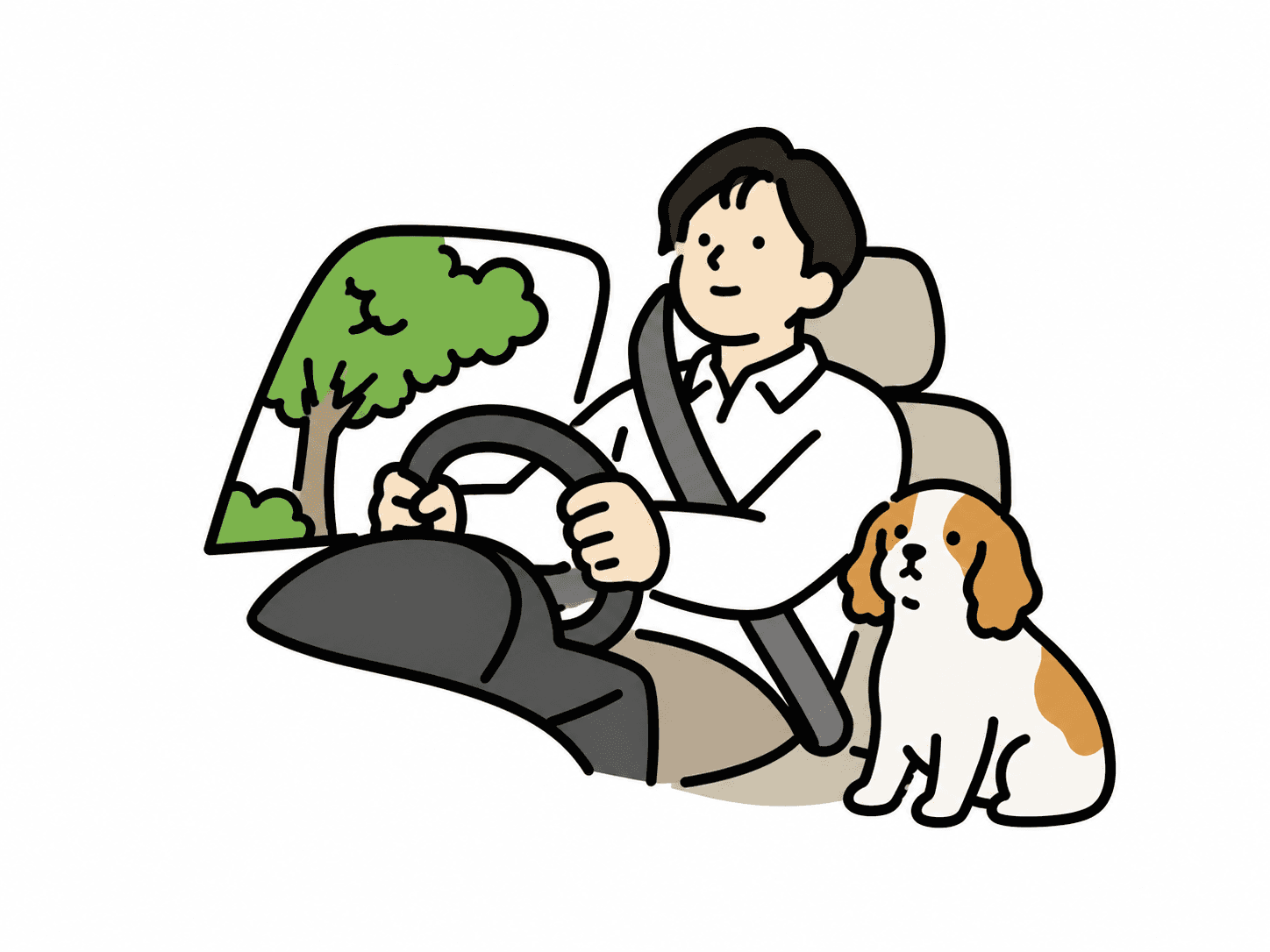 自動車保険比較ガイド【2026年版】等級制度の仕組みとダイレクト型・代理店型の違い
